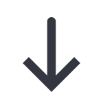 Arrow Down SVG Icon
